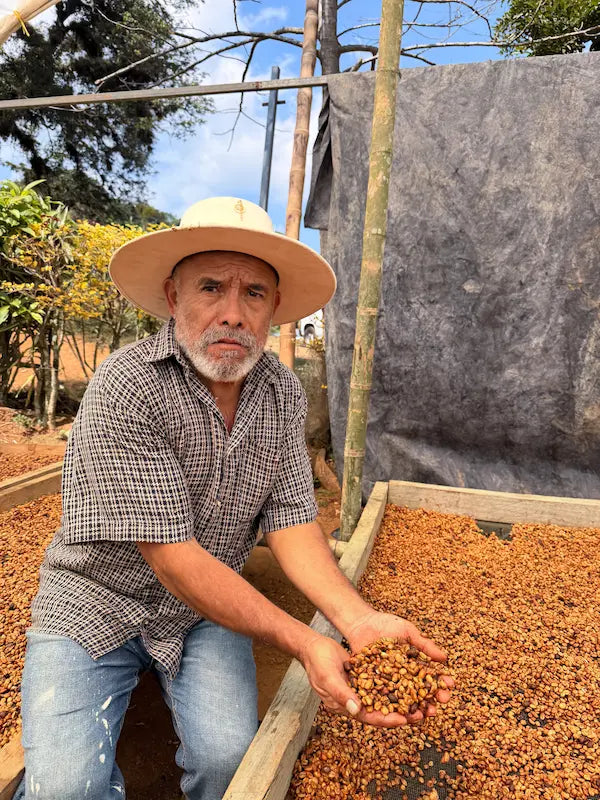 Filemón Hernández