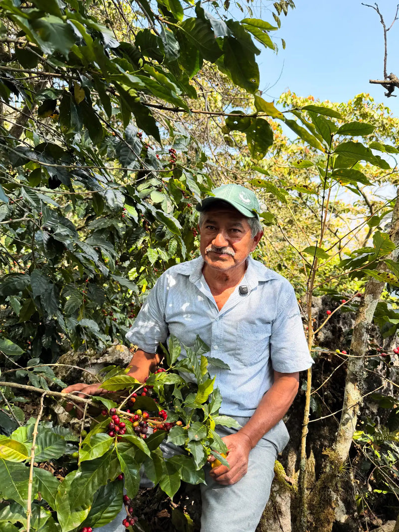 ¿Qué es Café Circular?