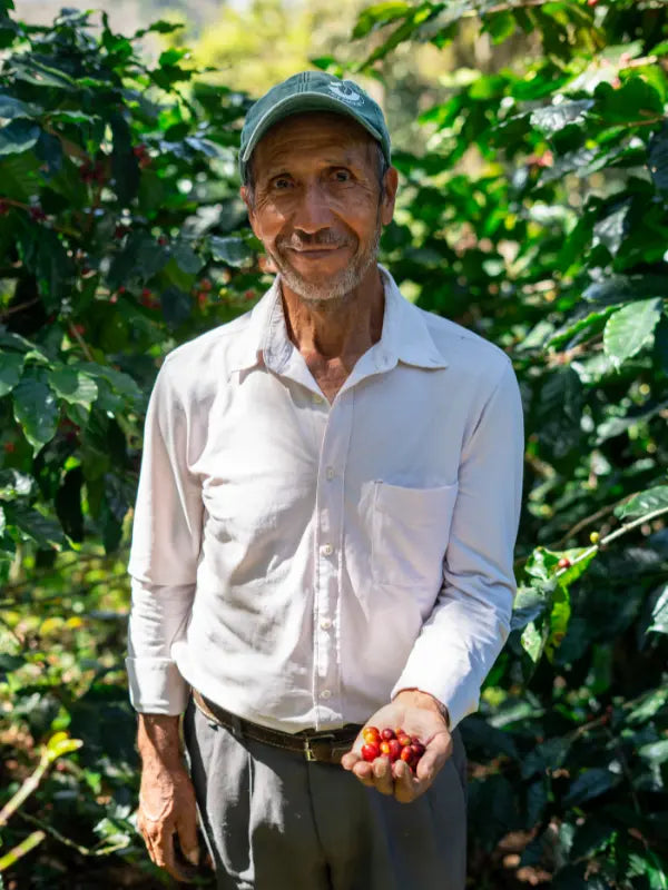 Anselmo Anaya