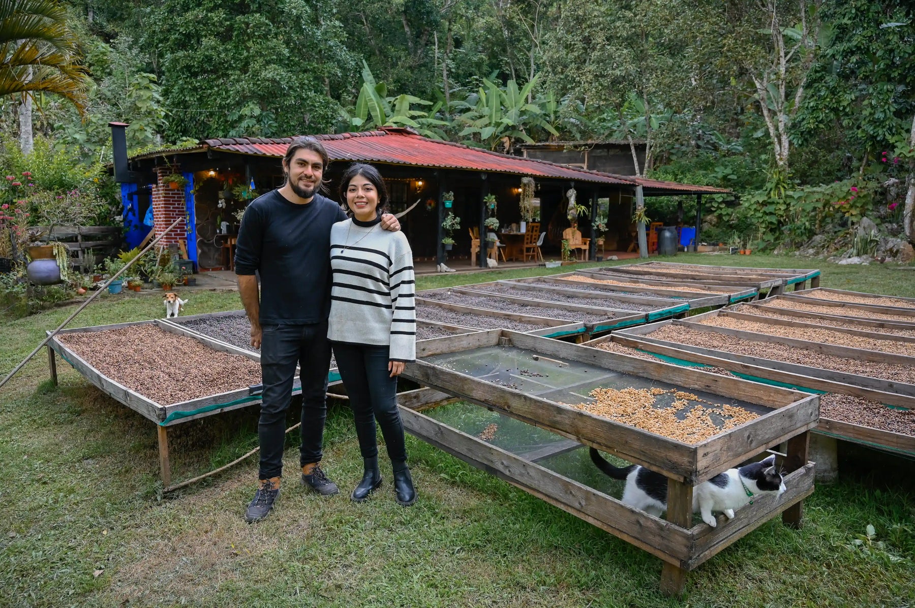 David Orduña