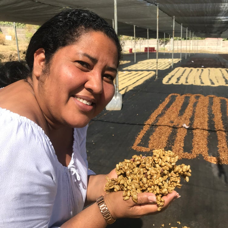 
                  
                    Café de Especialidad - Nicaragua Marilec
                  
                